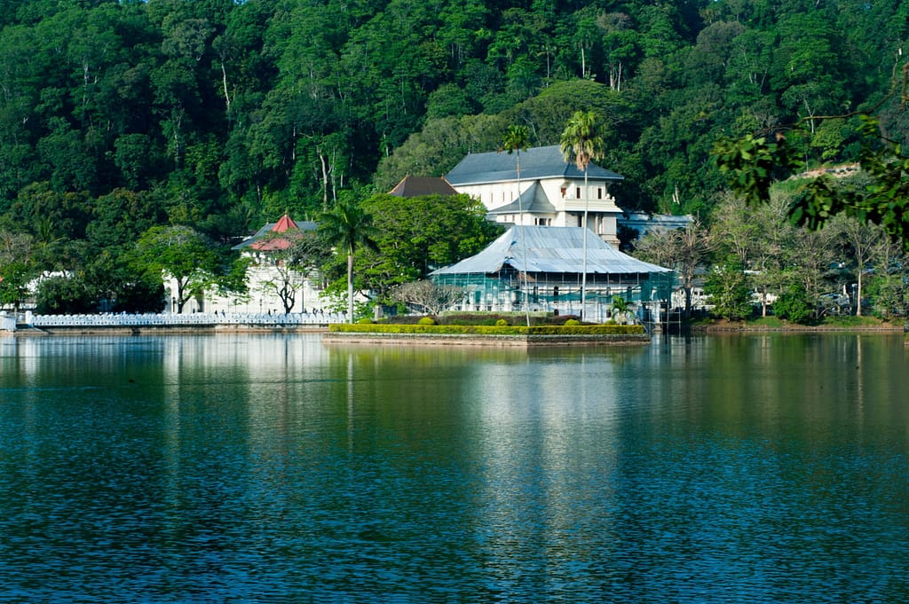 Sri Lanka Travel Experts – Kandy Travels team