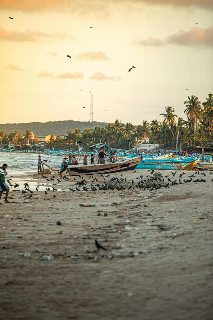 Sri Lanka Travel Experts – Kandy Travels team